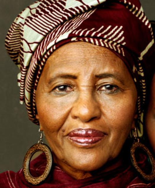 Hawa Abdi