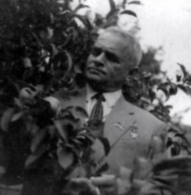 Илья Егудин фото Илья Егудин