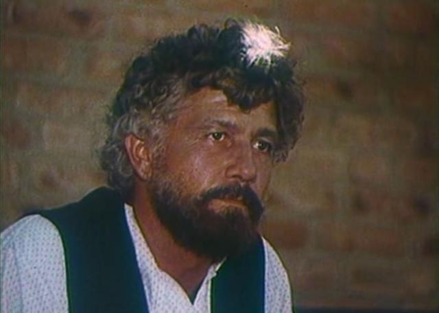 Mihai Volontir