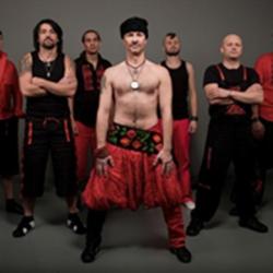 Гайдамаки