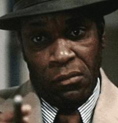 Moses Gunn