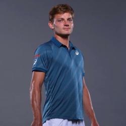 David Goffin