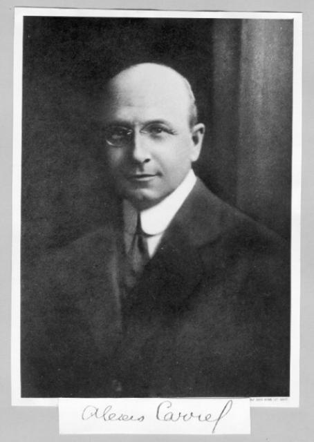 Aleksis Carrel