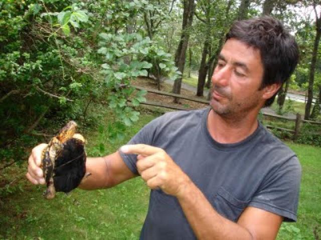 Andy Kessler