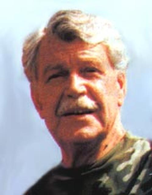 Vsevolod Larionov