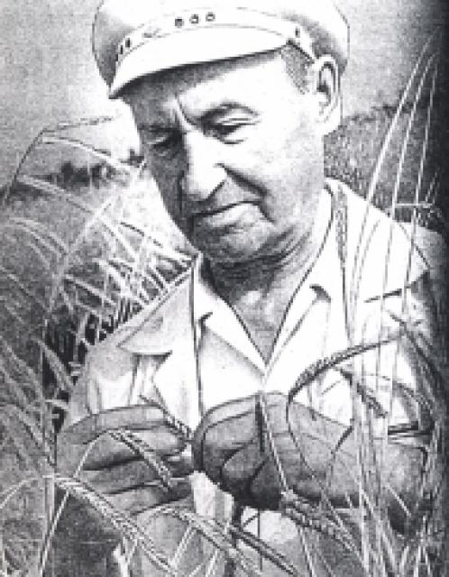 Mishael Lobutov photo Mishael Lobutov