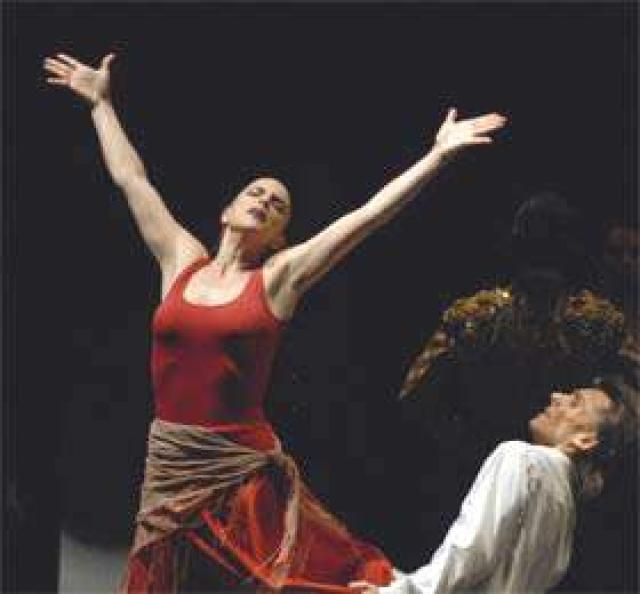 Stella Arauso