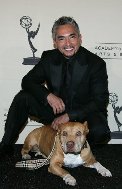 Cesar Millan