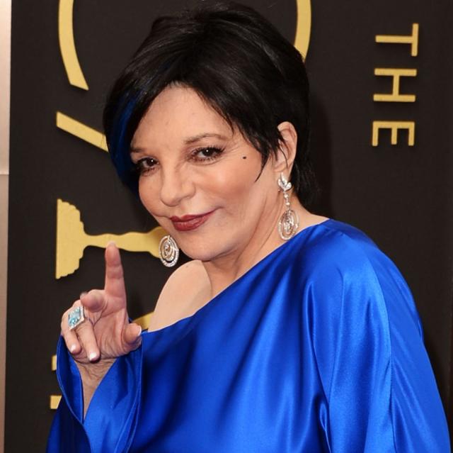 Liza Minnelli photo Liza Minnelli
