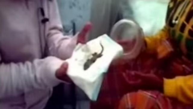 Деби Нубатонис фото Деби Нубатонис