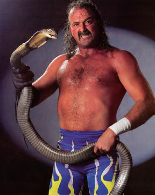 Jake Roberts