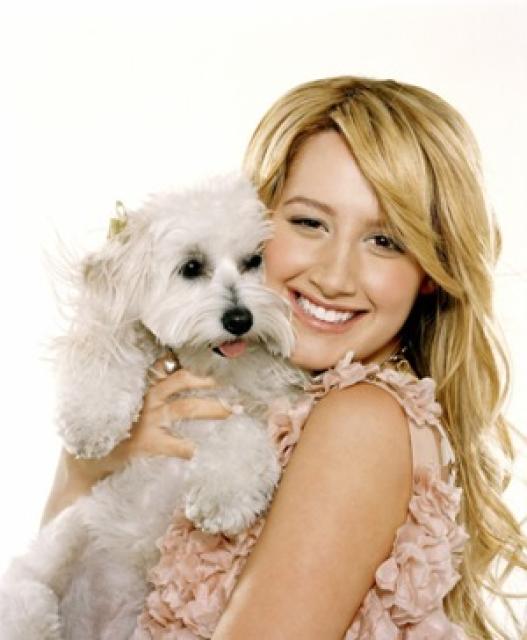 Ashley Tisdale photo Ashley Tisdale