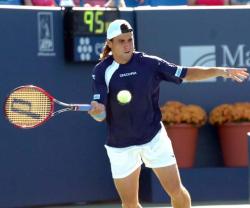 David Ferrer