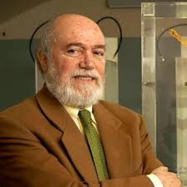 Luciano Bellosi