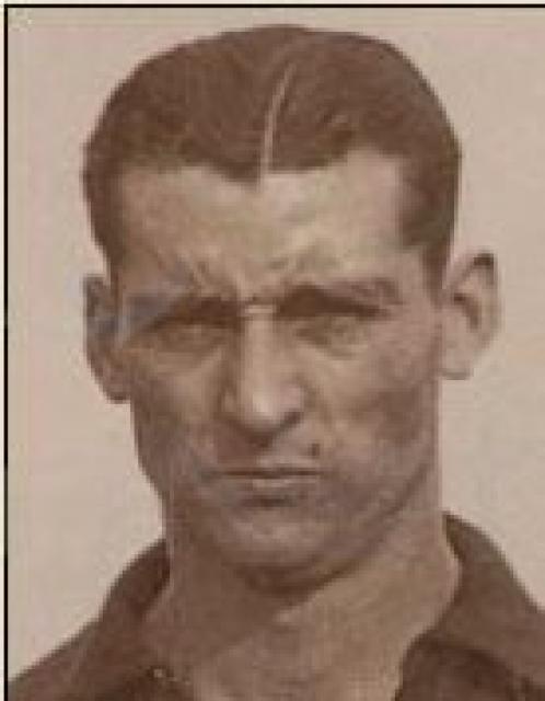 Crisant Bosch