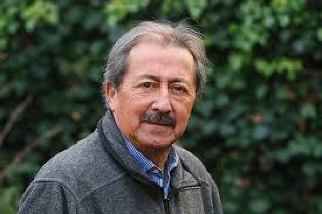 Leonardo Veliz