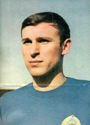 Dragan Dzajic