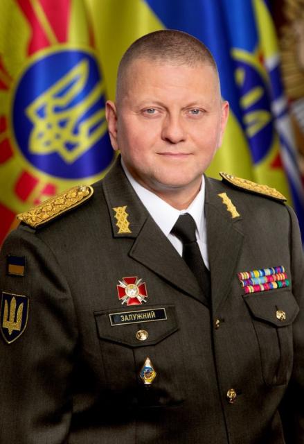 Valeriy Zaluzhnuy