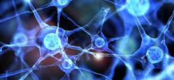 Georgius Coopmans Georgius Coopmans