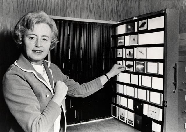 Eleanor Burbidge photo Eleanor Burbidge