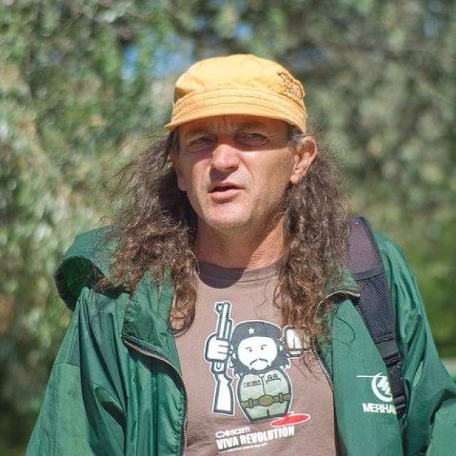 Vladimir Gulich